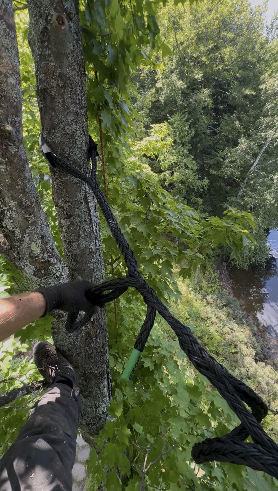 Équipement de Arbo-Tech Lanaudière